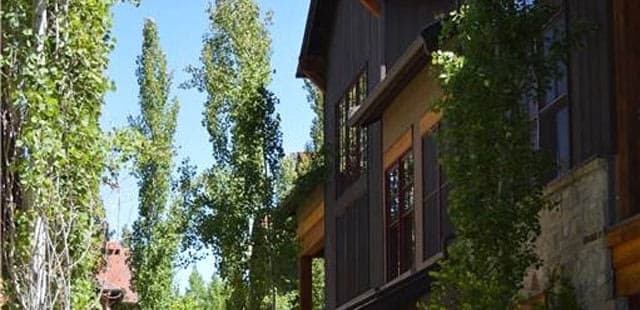 Timbers