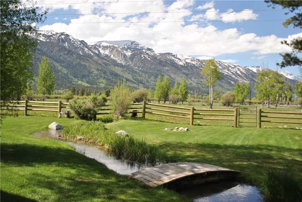 Backyard Stream with bridge