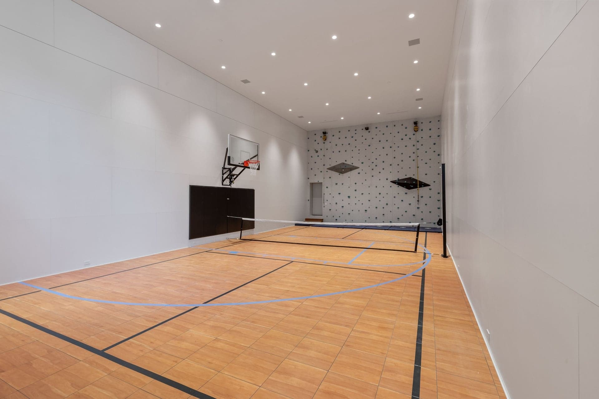 Spacious and Fun Sports Court with Climbing Wall Features.