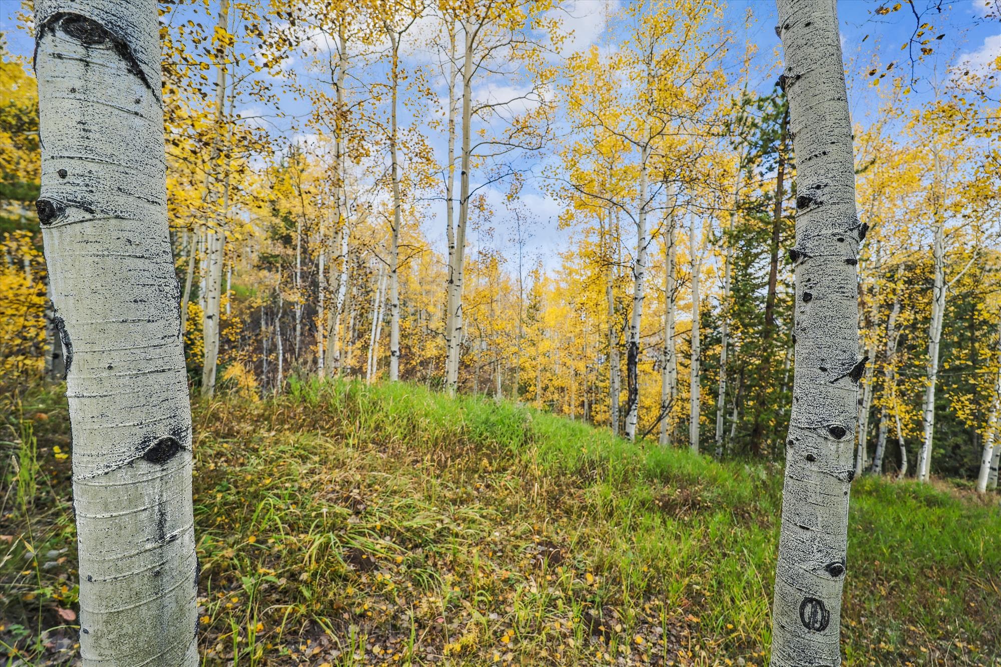 Exterior - Endless Trails Cabin - Silverthorne Vacation Rental