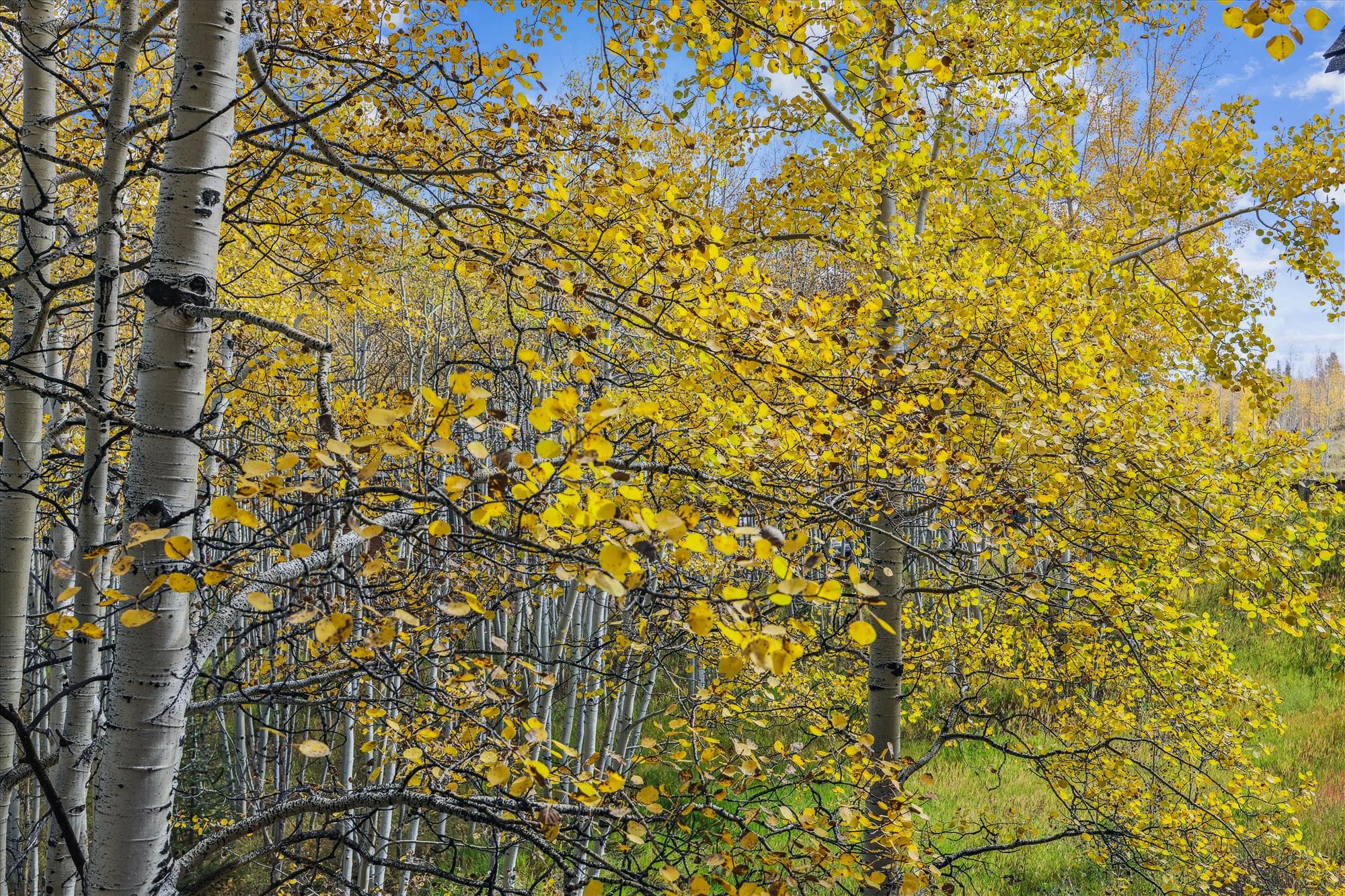Exterior - Endless Trails Cabin - Silverthorne Vacation Rental