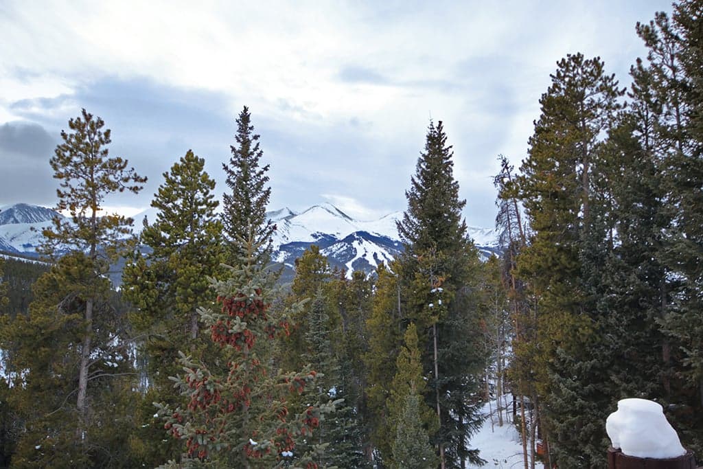Exterior - 10 Southface - Breckenridge Vacation Rental
