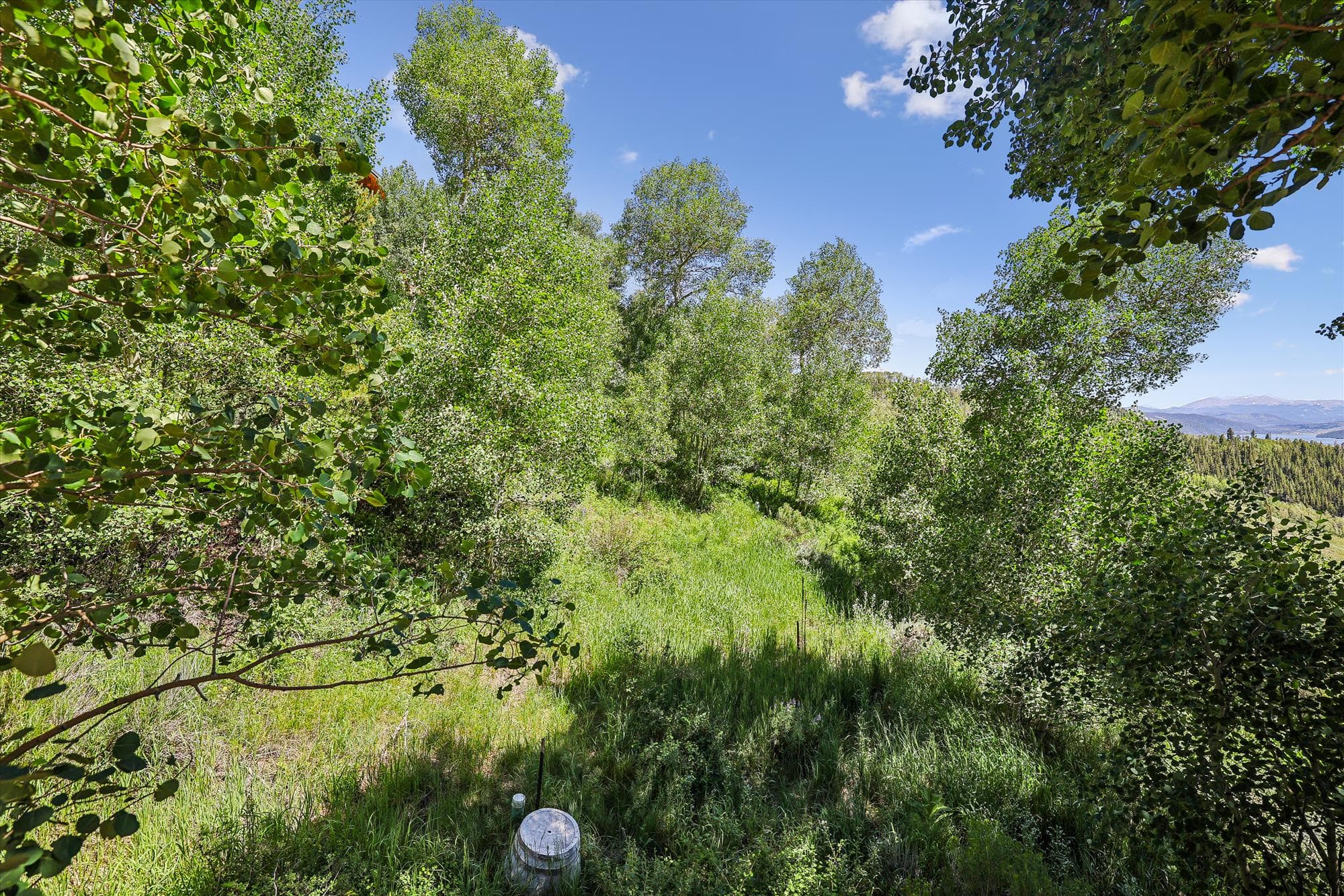 Exterior - Hamilton Creek Cabin - Silverthorne Vacation Rental