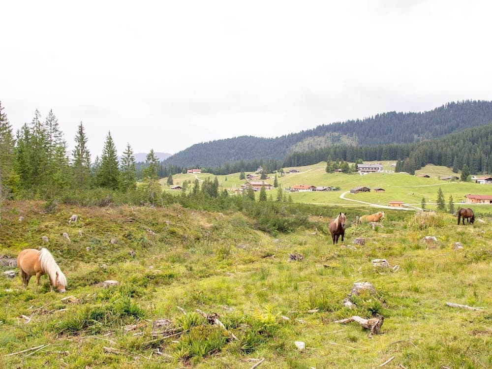 Hiking
