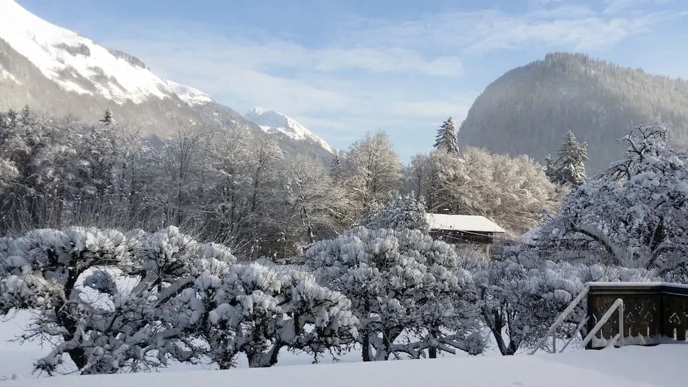 Snow and ski sports