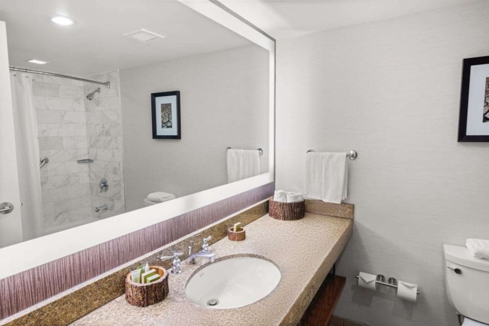 Bathroom shower