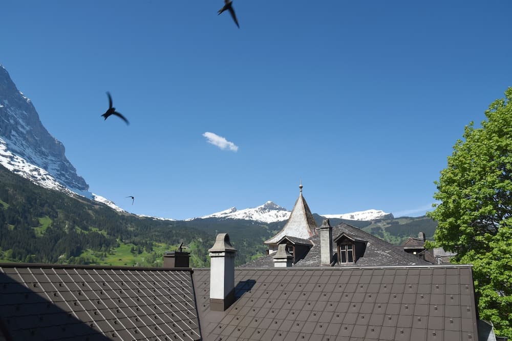 View from room