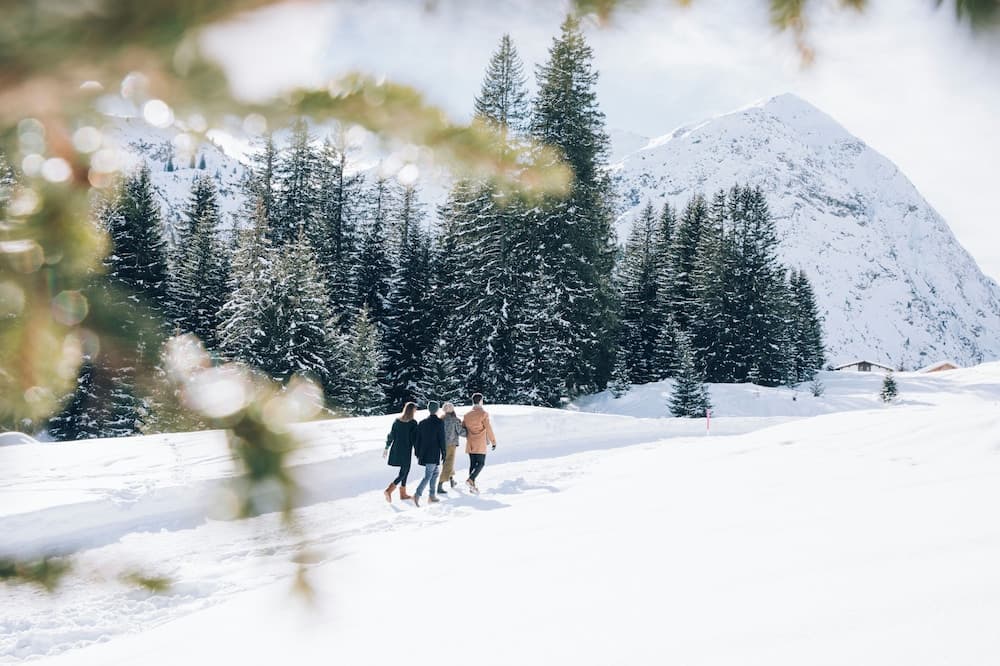 Snowshoeing