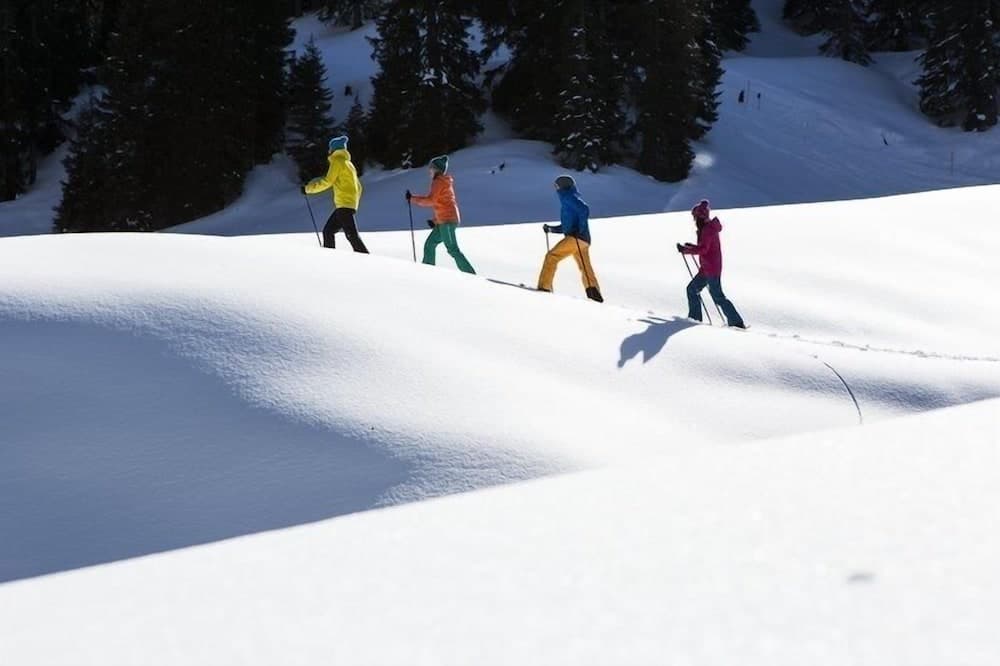 Snowshoeing