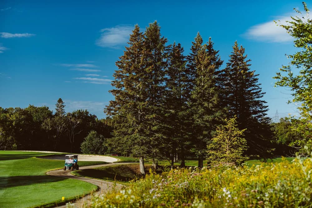 Golf