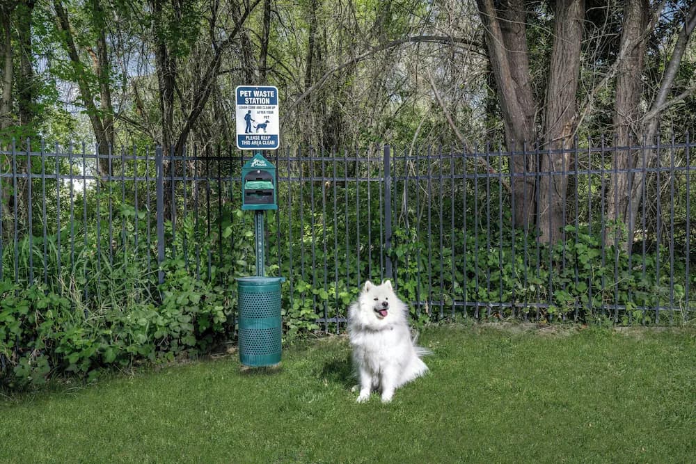 Pet-friendly amenities
