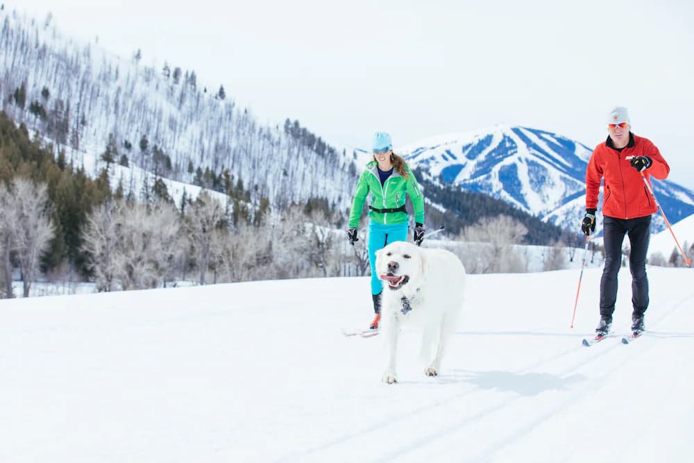 Snowshoeing