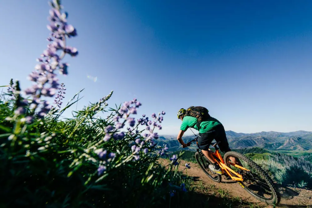 Bicycling