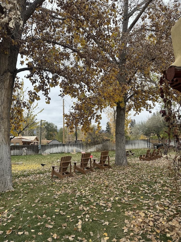 BBQ/picnic area