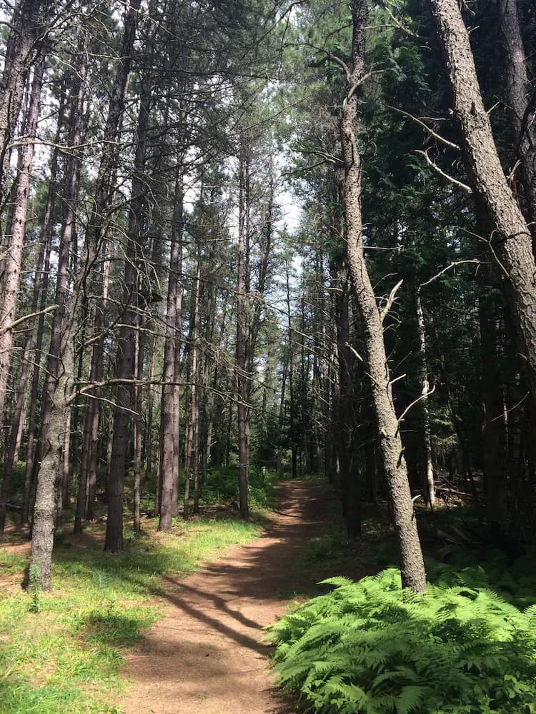 Hiking