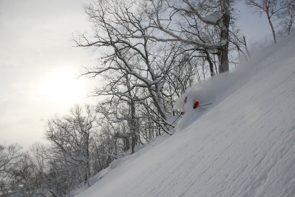 Skiing