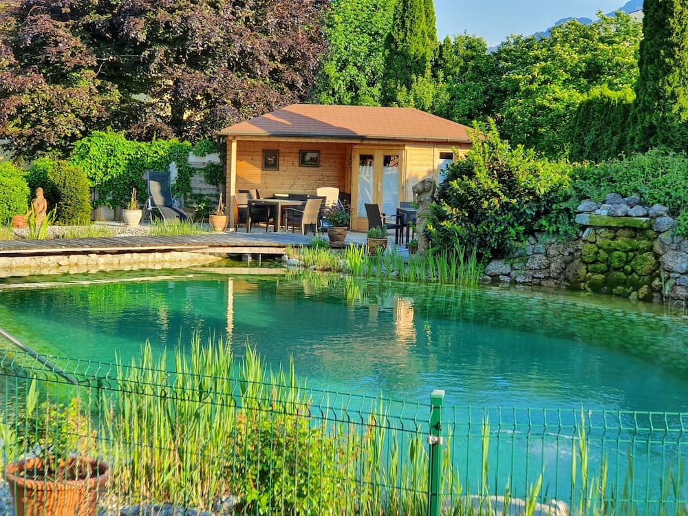 Natural pool