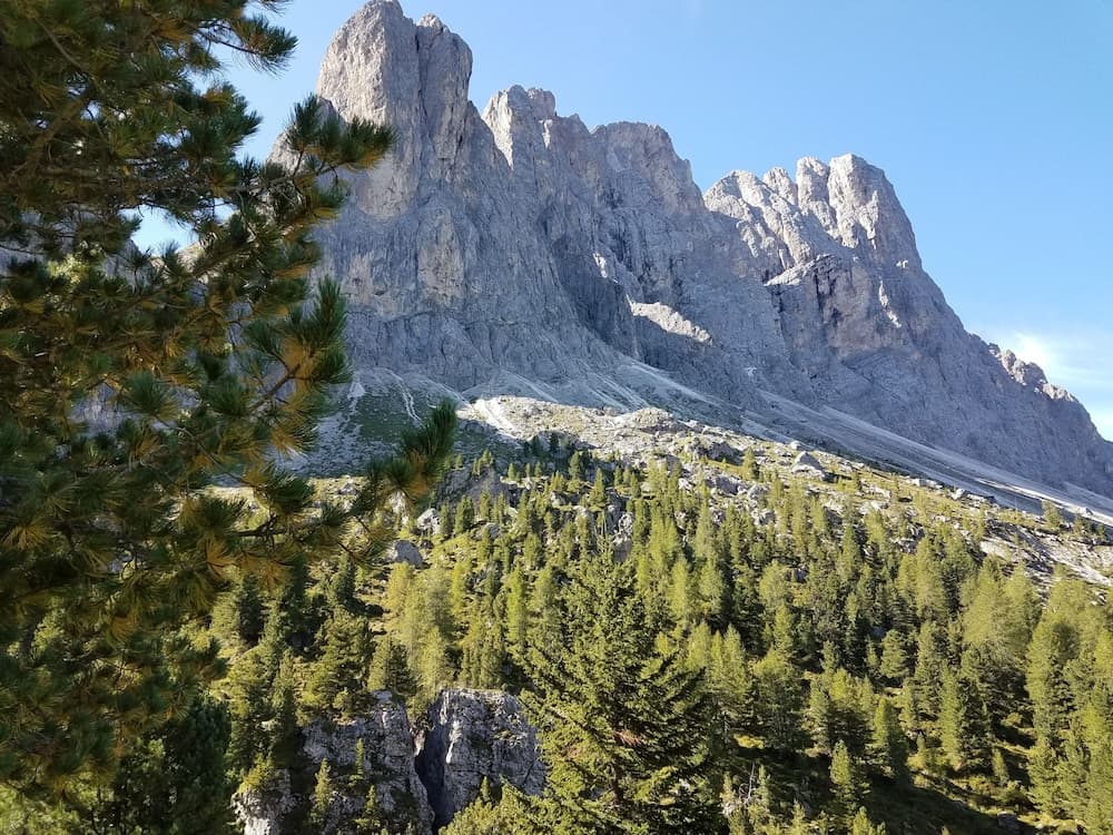 Hiking