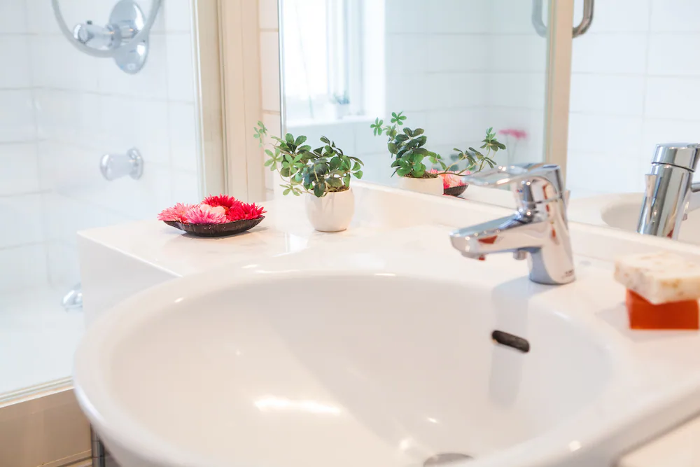 Bathroom sink