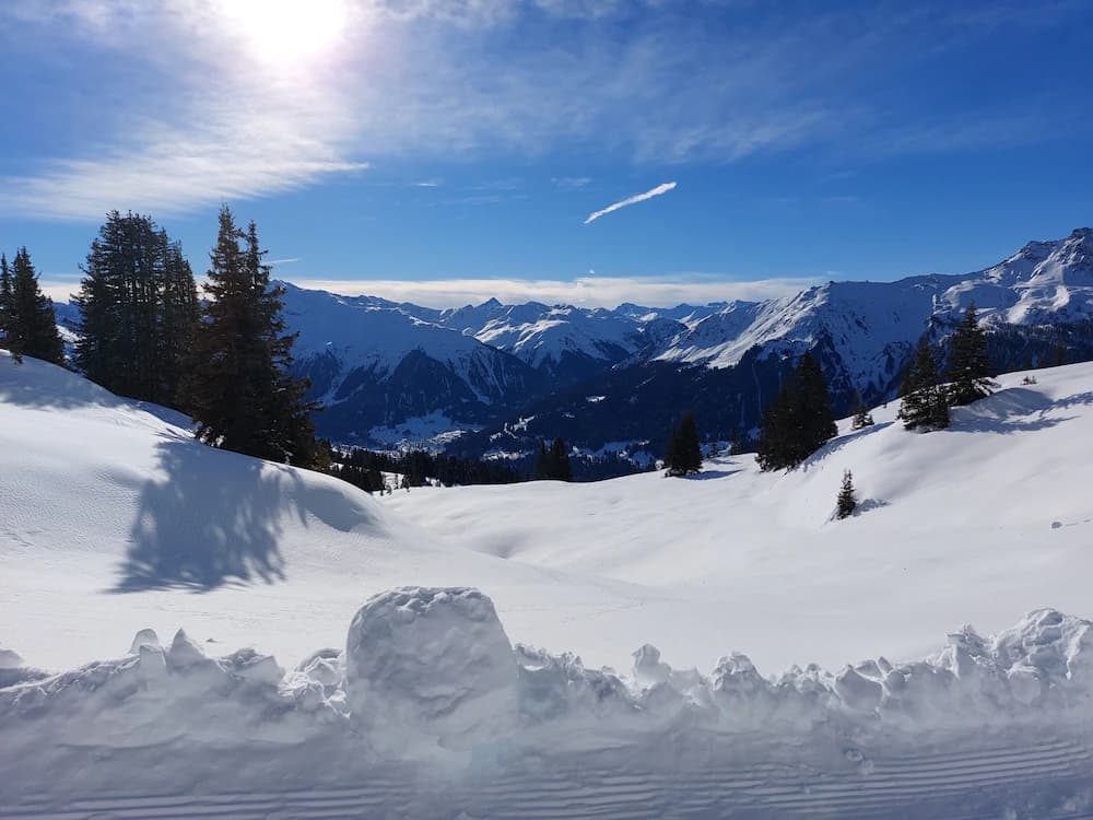 Skiing