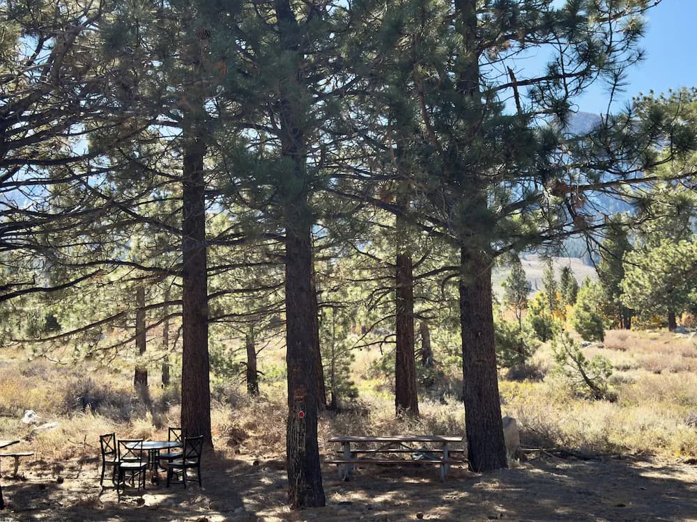 BBQ/picnic area