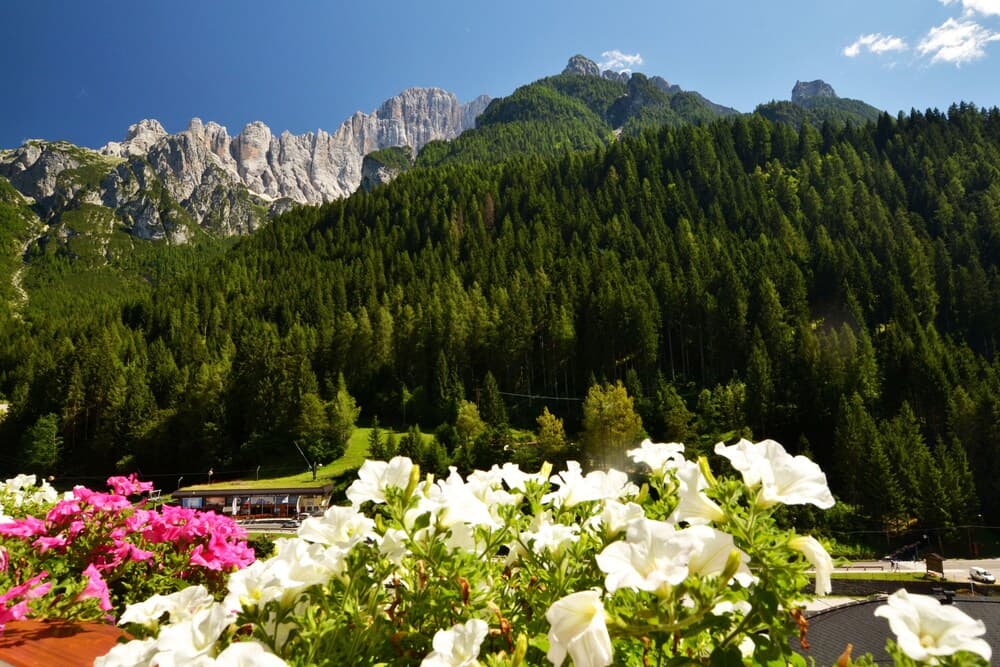 Mountain view