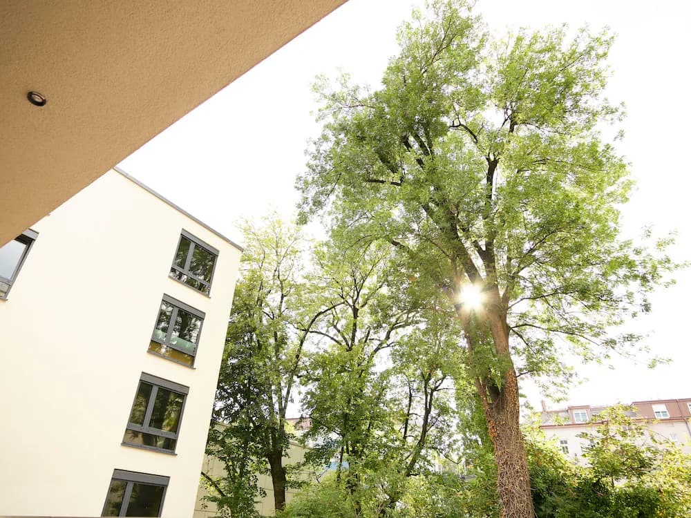 Courtyard