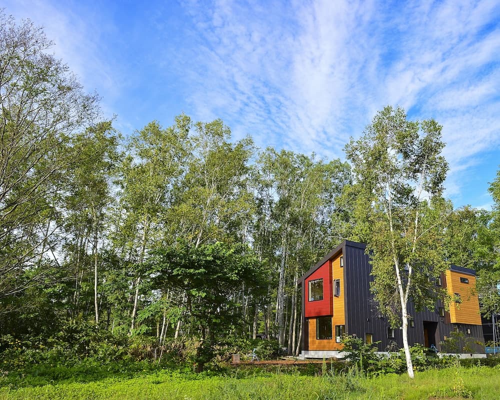 Primary image