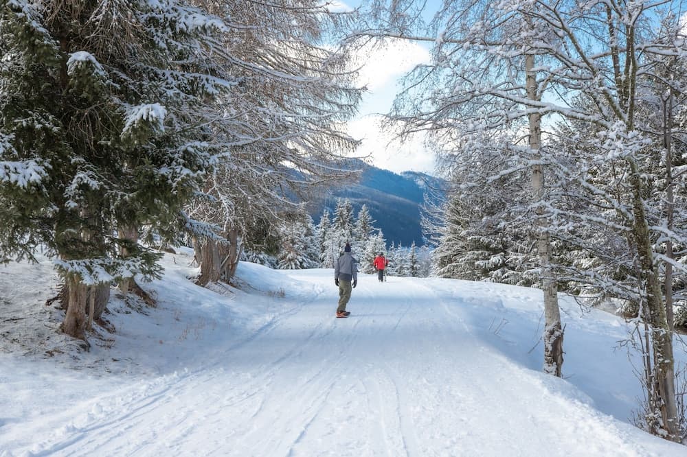 Skiing