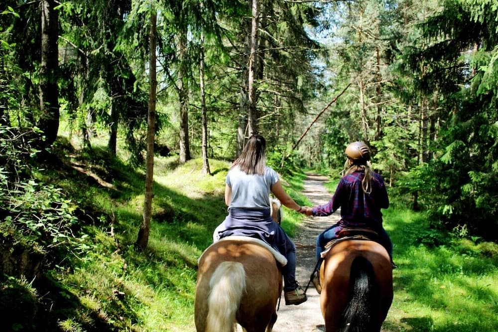 Horseback riding