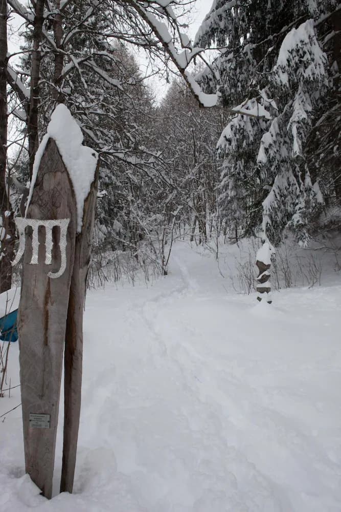 Snow and ski sports