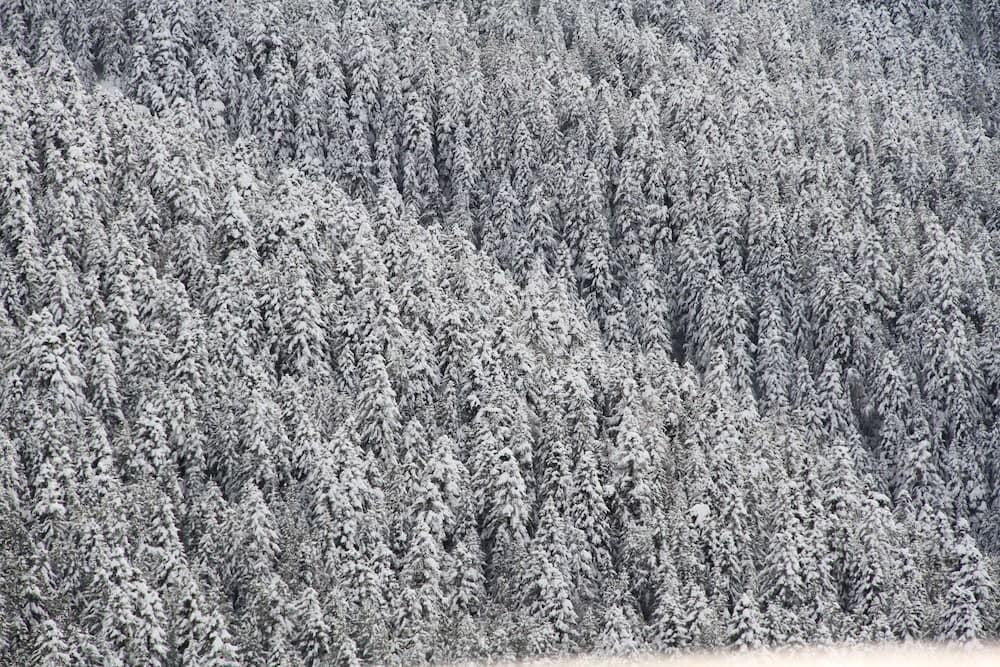 Mountain view