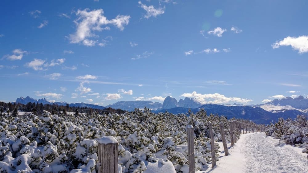 Snowshoeing