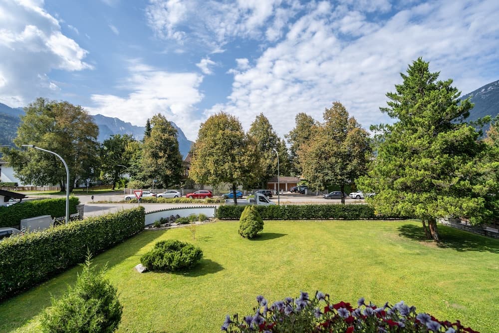 Garden view