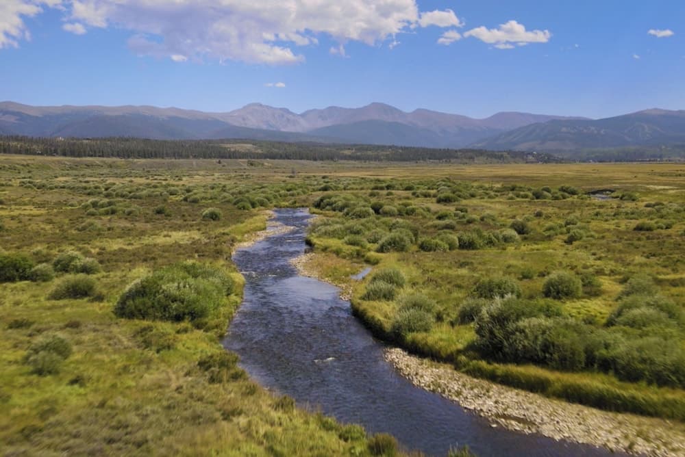 View from property