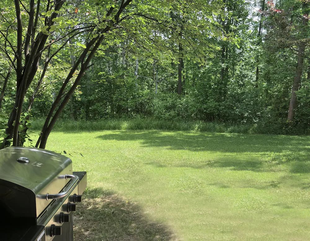 BBQ/picnic area
