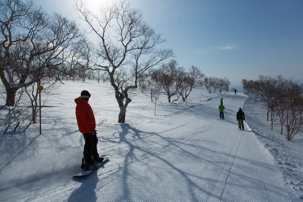 Snow and ski sports