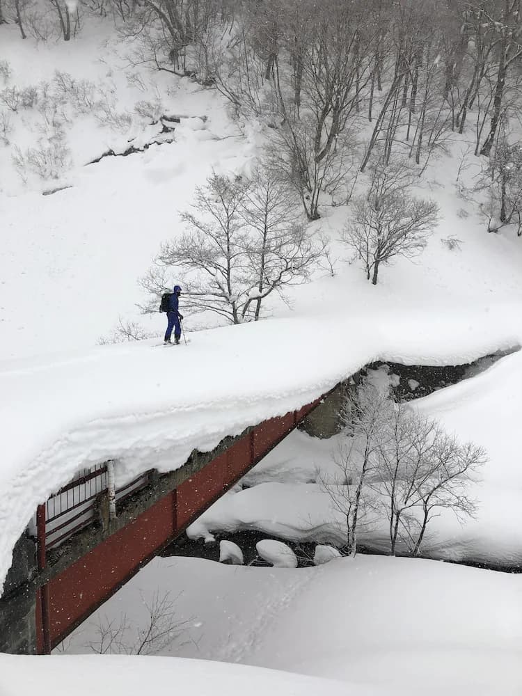 Skiing