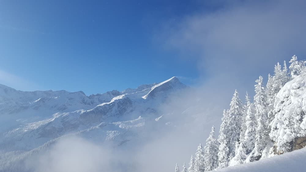 Snow and ski sports