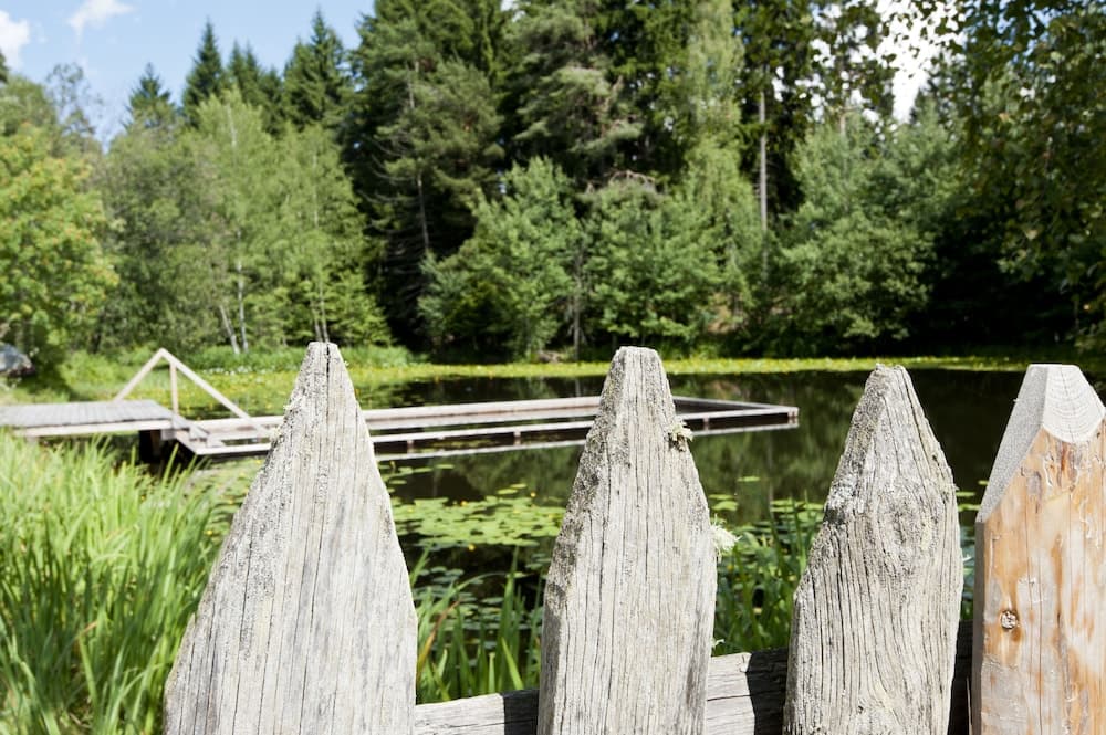 Lake view