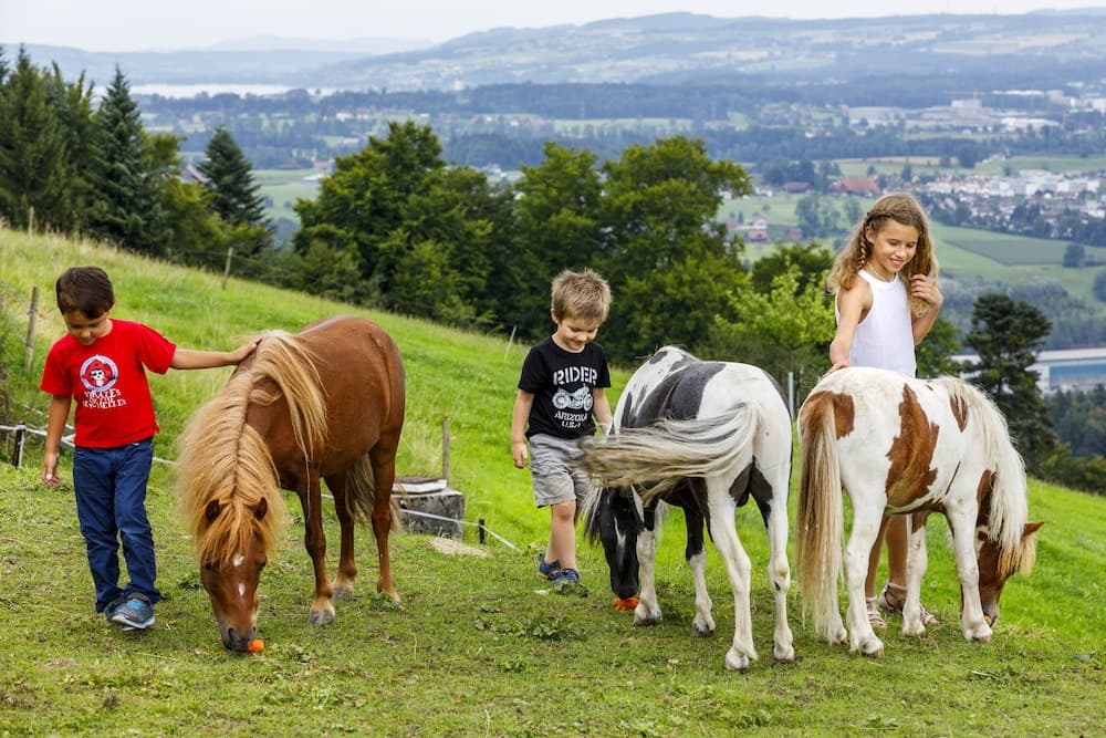 Children's activities