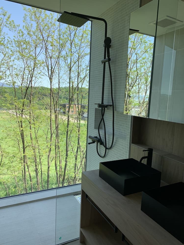 Bathroom shower