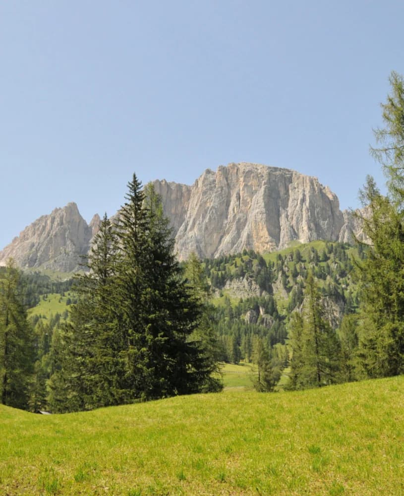 Hiking