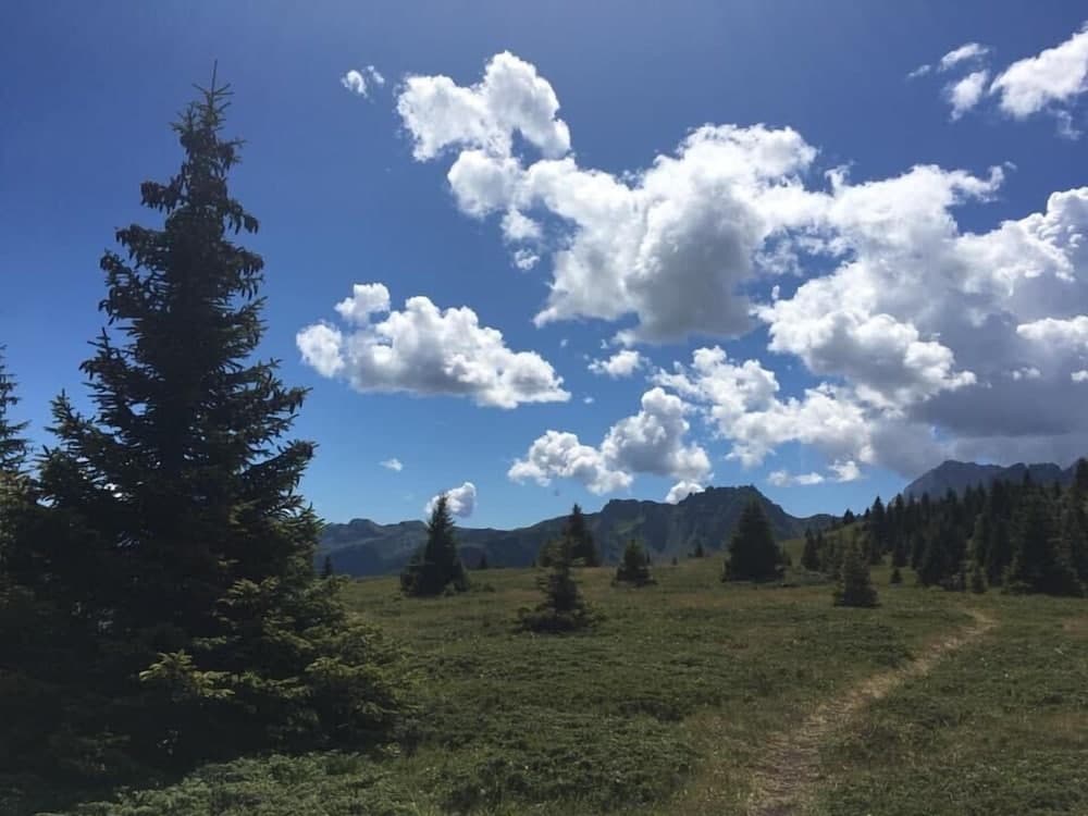 Hiking