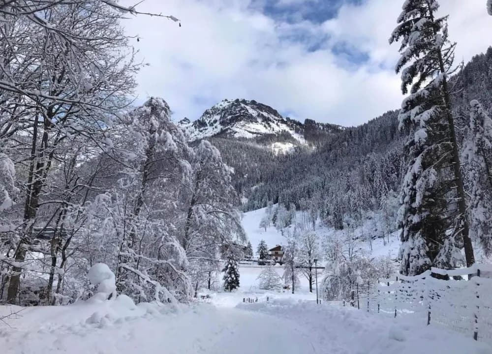 View from property