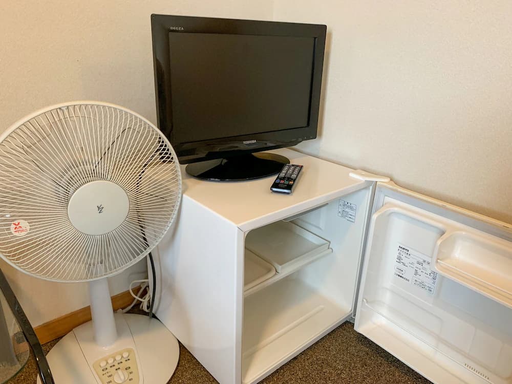 Television