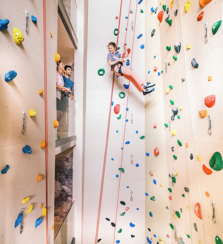 Rock climbing wall - indoor