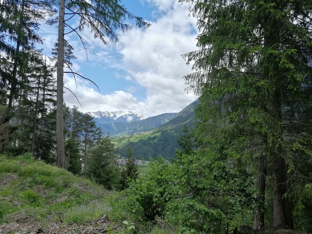 Hiking