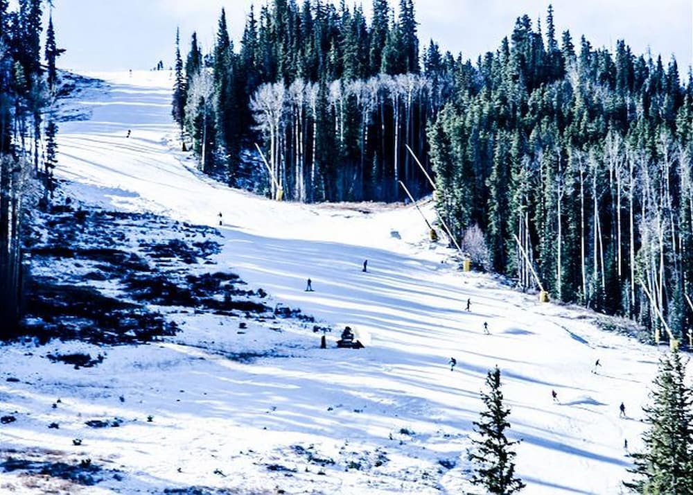 Snow and ski sports