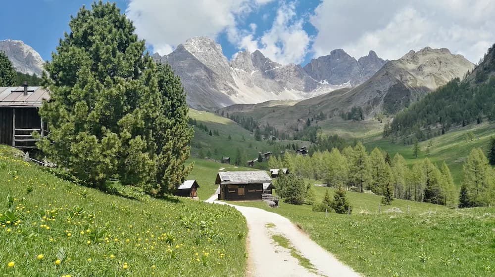 Mountain view